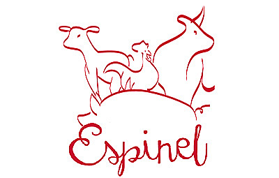 Espinel